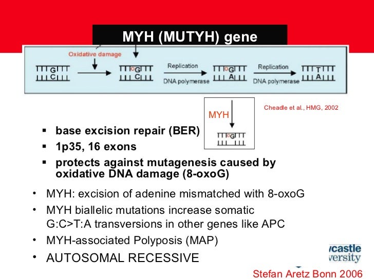 mcc 2011 slide 4