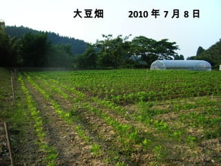 󶹮x 2010  7  8 
 