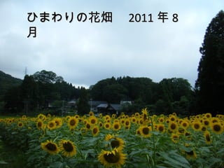 Ҥޤλx 2011  8

 