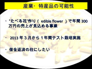 bI?خbƷοԡ

?٤뻨꣨ edible flower g 300
 ҤΉϤҊzI

? 2013 ꣳ¤飱gƥgʩ

?𷵜gˤ
 