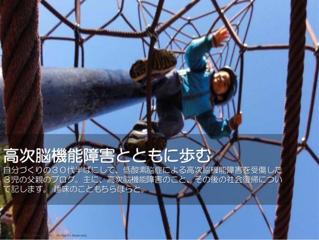 高次脳機能障害 発表資料