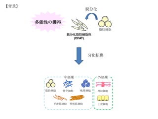 研究概要 | PPT