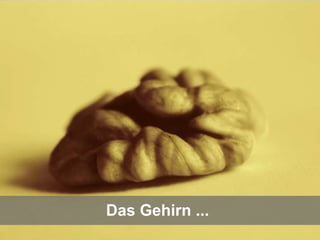 Das Gehirn ...
11.05.2012   Seite 14                    © eparo GmbH, 2013
 