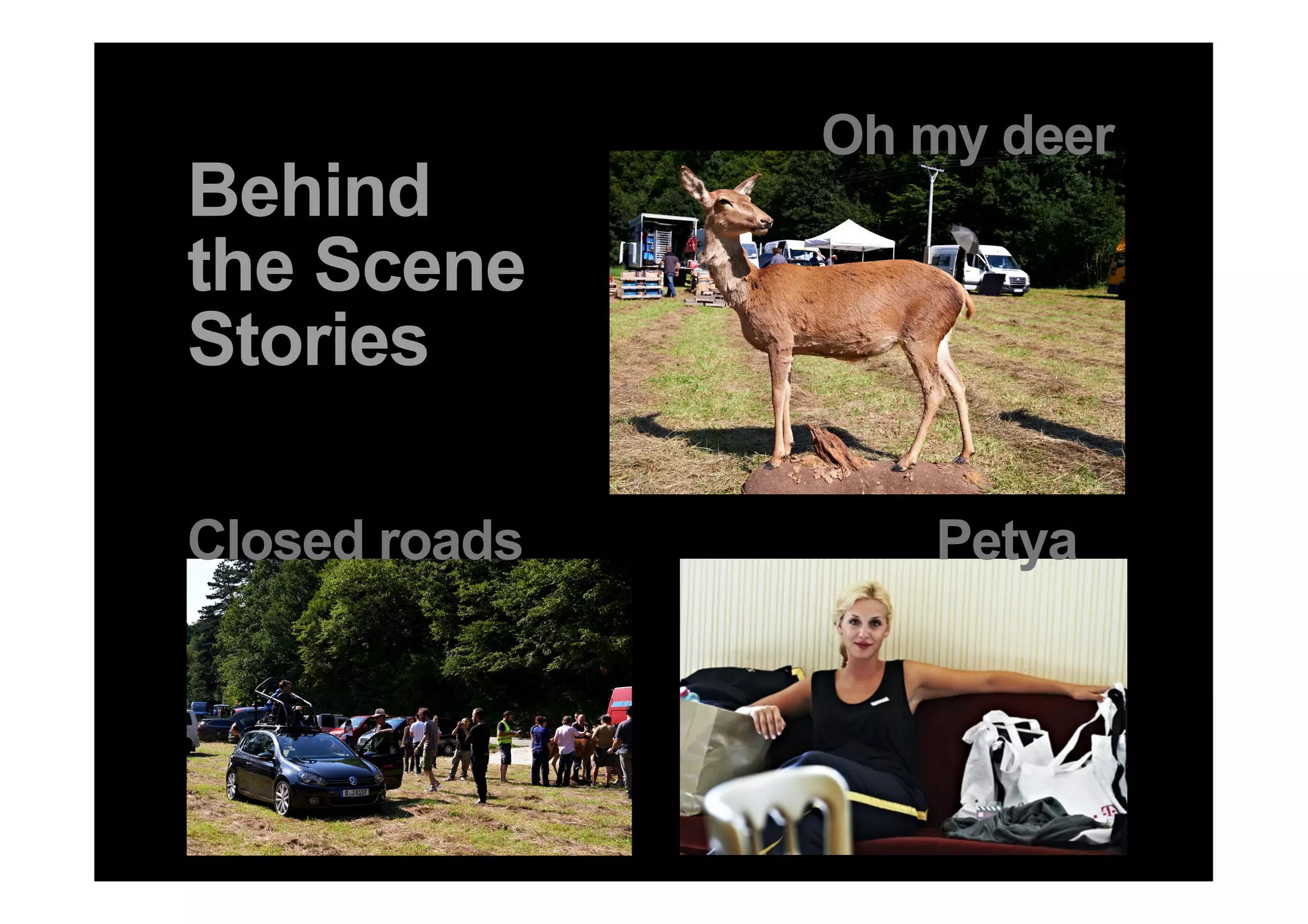 Oh my deer
     Behind
     the Scene
     Stories

     Closed roads                 Petya



35 DDB Tribal für Kundenname
 