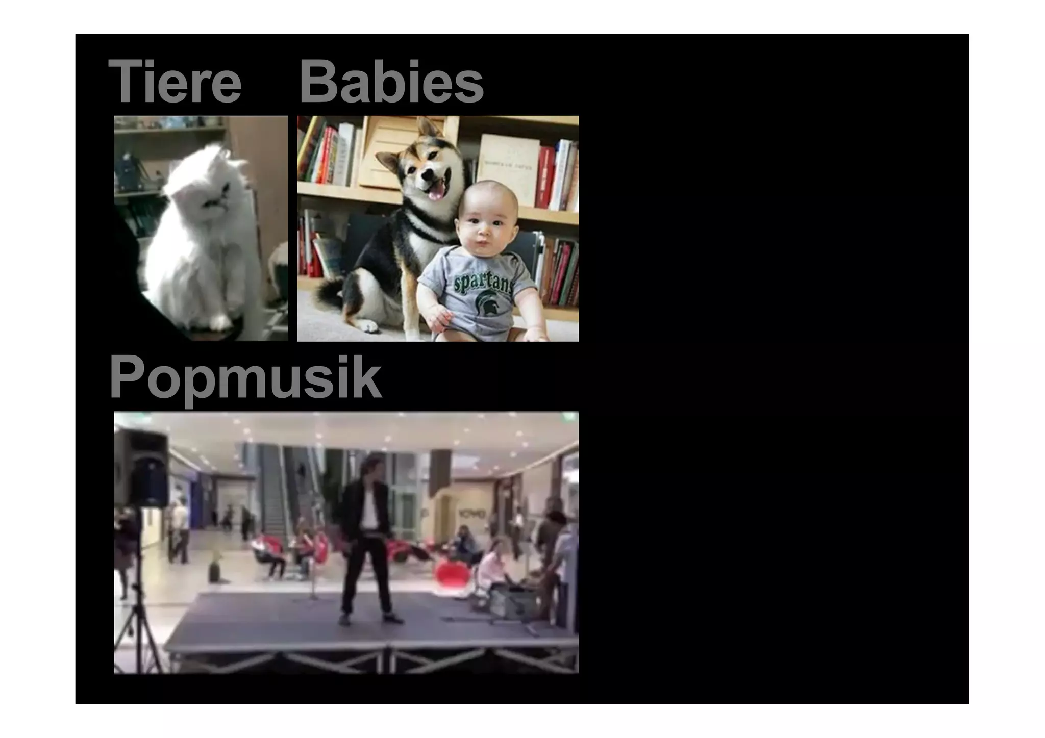 Tiere Babies



Popmusik



37 DDB Tribal für Kundenname
 