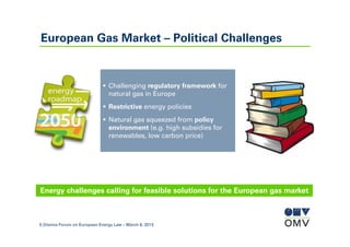 Challenges for the European Gas Market | PDF