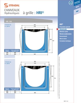 Édition03/2013.Documentnoncontractuel.Lescaractéristiquesmentionnéessontindicativesetsusceptiblesdemodifications.
grille
caniveaux
sous circulation
HRI
®
à grille : HRI®
caniveaux
Hydrauliques
HRI® 25
	 HRI®
	 Présentation générale
	 Éléments plats
	 Éléments à pente
	 Élémentscomplémentaires
	Recouvrements
	 Mise en œuvre
	 Formulaires techniques
HRI 700
650
730
800
618
800
650
770
860
618
860
• Ht 650 mm
• L 3,00 m
• Ht 650 mm
• L 3,00 m
Classes de
résistance
Sections hydrauliques
sous grille en cm²
C250 3055
D400 3055
Classes de
résistance
Sections hydrauliques
sous grille en cm²
E600 2944
F900 2944
 