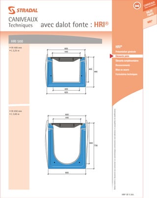 Édition03/2013.Documentnoncontractuel.Lescaractéristiquesmentionnéessontindicativesetsusceptiblesdemodifications.
Dalot
fonte
HRI®
caniveaux
sous circulation
avec dalot fonte : HRI®
caniveaux
Techniques
HRI® DF 265
	 HRI®
	 Présentation générale
	 Éléments plats
	 Élémentscomplémentaires
	Recouvrements
	 Mise en œuvre
	 Formulaires techniques
• Ht 400 mm
• L 2,25 m
400
480
620
420
440
600
650
730
600
440
600
HRI 500
• Ht 650 mm
• L 3,00 m
 