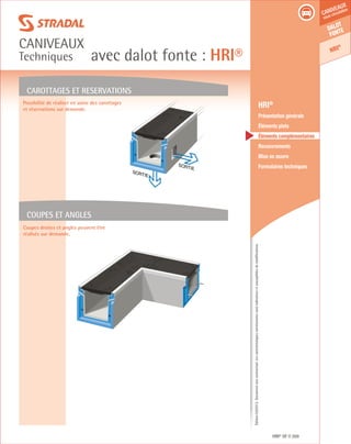 Édition03/2013.Documentnoncontractuel.Lescaractéristiquesmentionnéessontindicativesetsusceptiblesdemodifications.
Dalot
fonte
HRI®
caniveaux
sous circulation
avec dalot fonte : HRI®
caniveaux
Techniques
HRI® DF 269
	 HRI®
	 Présentation générale
	 Éléments plats
	 Éléments complémentaires
	Recouvrements
	 Mise en œuvre
	 Formulaires techniques
SORTIE
SORTIE
Carottages et reservations
Coupes et angles
Possibilité de réaliser en usine des carottages
et réservations sur demande.
Coupes droites et angles peuvent être
réalisés sur demande.
 