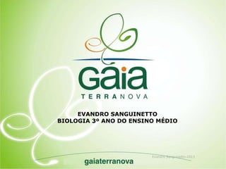 Evandro Sanguinetto-2013
EVANDRO SANGUINETTO
BIOLOGIA 3º ANO DO ENSINO MÉDIO
 