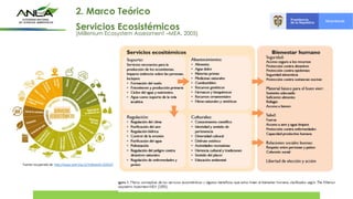 Fuente recuperado de: http://www.wwf.org.co/?uNewsID=324210
2. Marco Teórico
Servicios Ecosistémicos
(Millenium Ecosystem Assessment –MEA, 2005)
 