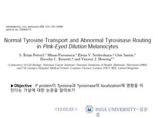 <13.03.23 > INHA UNIVERSITY-김준
섭
▶Objective : P protein이 Tyrosine과 Tyrosinase의 localization에 영향을 미
친다는 가설에 대한 논문을 알아보기
 