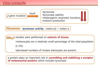 •tyrosinase
•tyrosinase stability
•melanogenic enzymatic functions
•melanin production
p gene mutation
result
tyrosinase activity : melan-p1 > melan-a
•studies were performed on extracts of tissues
•melanocytes are a relatively small percentage of the total population
(1-2%)
•decreased numbers of mutant elanocytes are present.
p protein plays an important role in assembling and stabilizing a complex
of melanosomal proteins which includes tyrosinase
 