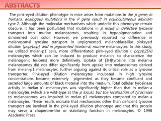 The pink-eyed dilution phenotype in mice arises from mutations in the p gene; in
humans, analogous mutations in the P gene result in oculocutaneous albinism
type 2. Although the molecular mechanisms which underlie this phenotype remain
obscure, it has been postulated that mutations in p result in defective tyrosine
transport into murine melanosomes, resulting in hypopigmentation and
diminished coat color. However, we previously reported no difference in
melanosomal tyrosine transport in unpigmented, melanoblast-like pinkeyed
dilution (pcp/pcp), and in pigmented (melan-a) murine melanocytes. In this study,
we utilized melan-p1 cells, more differentiated pink-eyed dilution ( pcp/p25H)
melanocytes which can be induced to produce melanin, to characterize the
melanogenic lesion(s) more definitively. Uptake of [3H]tyrosine into melan-a
melanosomes did not differ significantly from uptake into melanosomes derived
from melan-p1 melanocytes, further arguing against its critical role as a tyrosine
transporter. Pink-eyed dilution melanocytes incubated in high tyrosine
concentrations became extremely pigmented as they became confluent and
secreted large amounts of black material into the medium. Total cellular tyrosinase
activity in melan-p1 melanocytes was significantly higher than that in melan-a
melanocytes (which are wild-type at the p locus), but the localization of tyrosinase
to melanosomes was impaired in melan-p1 melanocytes compared to melan-a
melanocytes. These results indicate that mechanisms other than deficient tyrosine
transport are involved in the pink-eyed dilution phenotype and that this protein
may serve a chaperone-like or stabilizing function in melanocytes. © 1998
Academic Press
 