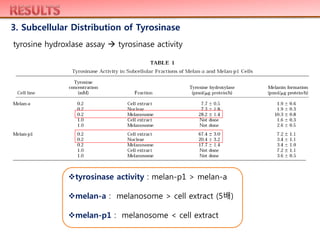 3. Subcellular Distribution of Tyrosinase
tyrosine hydroxlase assay  tyrosinase activity
tyrosinase activity : melan-p1 > melan-a
melan-a : melanosome > cell extract (5배)
melan-p1 : melanosome < cell extract
 