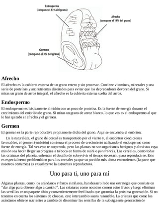 Afrecho
El afrecho es la cubierta externa de un grano entero y sin procesar. Contiene vitaminas, minerales y una
serie de proteínas y antinutrientes diseñados para evitar que los depredadores devoren del grano. Si
miras un grano de arroz integral, el afrecho es la cubierta externa suelta del arroz.
Endospermo
El endospermo es básicamente almidón con un poco de proteína. Es la fuente de energía durante el
crecimiento del embrión de grano. Si miras un grano de arroz blanco, lo que ves es el endospermo al que
le han quitado el afrecho y el germen.
Germen
El germen es la parte reproductiva propiamente dicha del grano. Aquí se encuentra el embrión.
En la naturaleza, el grano de cereal es transportado por el viento y, al encontrar condiciones
favorables, el germen (embrión) comienza el proceso de crecimiento utilizando el endospermo como
fuente de energía. Tal vez esto te sorprenda, pero las plantas no son organismos benignos y altruistas cuya
misión sea hacer llegar su progenie a tu boca en forma de sushi o pan francés. Los cereales, como todas
las criaturas del planeta, enfrentan el desafío de sobrevivir el tiempo necesario para reproducirse. Esto
es especialmente problemático para los cereales ya que su porción más densa en nutrientes (la parte que
nosotros comemos) es casualmente la estructura reproductora.
Uno para ti, uno para mí
Algunas plantas, como los arándanos y frutos similares, han desarrollado una estrategia que consiste en
“dar algo para obtener algo a cambio”. Las criaturas como nosotros comen estos frutos y luego eliminan
las semillas en un paquete tibio y convenientemente fertilizado que garantiza la próxima generación. Si no
tenemos en cuenta los sistemas de cloacas, este intercambio suena razonable. La criatura que come los
arándanos obtiene nutrientes a cambio de diseminar las semillas de la subsiguiente generación de
 