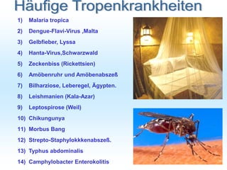 1) Malaria tropica
2) Dengue-Flavi-Virus ,Malta
3) Gelbfieber, Lyssa
4) Hanta-Virus,Schwarzwald
5) Zeckenbiss (Rickettsien)
6) Amöbenruhr und Amöbenabszeß
7) Bilharziose, Leberegel, Ägypten.
8) Leishmanien (Kala-Azar)
9) Leptospirose (Weil)
10) Chikungunya
11) Morbus Bang
12) Strepto-Staphylokkkenabszeß.
13) Typhus abdominalis
14) Camphylobacter Enterokolitis
 