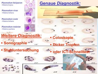 Weitere Diagnostik:
 Sonographie
 Stuhluntersuchung
 Coloskopie
 Dicker Tropfen
 oder ICT-Schnelltest
Genaue Diagnostik:
 