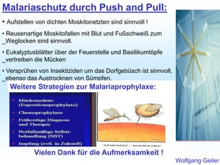 Malariaschutz durch Push and Pull:
• Aufstellen von dichten Moskitonetzten sind sinnvoll !
• Reusenartige Moskitofallen mit Blut und Fußschweiß zum
_Weglocken sind sinnvoll.
• Eukalyptusblätter über der Feuerstelle und Basilikumtöpfe
_vertreiben die Mücken
• Versprühen von Insektiziden um das Dorfgebüsch ist sinnvoll,
_ebenso das Austrocknen von Sümpfen.
Weitere Strategien zur Malariaprophylaxe:
Vielen Dank für die Aufmerksamkeit !
Wolfgang Geiler
 