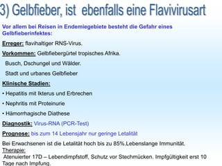 Vor allem bei Reisen in Endemiegebiete besteht die Gefahr eines
Gelbfieberinfektes:
Erreger: flavihaltiger RNS-Virus.
Vorkommen: Gelbfiebergürtel tropisches Afrika.
Busch, Dschungel und Wälder.
Stadt und urbanes Gelbfieber
Klinische Stadien:
• Hepatitis mit Ikterus und Erbrechen
• Nephritis mit Proteinurie
• Hämorrhagische Diathese
Diagnostik: Virus-RNA (PCR-Test)
Prognose: bis zum 14 Lebensjahr nur geringe Letalität
Bei Erwachsenen ist die Letalität hoch bis zu 85%.Lebenslange Immunität.
Therapie:
Atenuierter 17D – Lebendimpfstoff, Schutz vor Stechmücken. Impfgültigkeit erst 10
Tage nach Impfung.
 