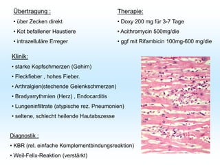 Übertragung :
• über Zecken direkt
• Kot befallener Haustiere
• intrazelluläre Erreger
Klinik:
• starke Kopfschmerzen (Gehirn)
• Fleckfieber , hohes Fieber.
• Arthralgien(stechende Gelenkschmerzen)
• Bradyarrythmien (Herz) , Endocarditis
• Lungeninfiltrate (atypische rez. Pneumonien)
• seltene, schlecht heilende Hautabszesse
Diagnostik :
• KBR (rel. einfache Komplementbindungsreaktion)
• Weil-Felix-Reaktion (verstärkt)
Therapie:
• Doxy 200 mg für 3-7 Tage
• Acithromycin 500mg/die
• ggf mit Rifambicin 100mg-600 mg/die
 