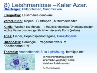 Überträger: Phlebotomen, Sandmücken
Erregertyp: Leishmania donovani
Verbreitung: Tropen , Subtropen , Mittelmeeländer
Klinik: Wochen bis Monate. → Hautleishmaniose(Orientbeule)oder
leichte Vernarbungen, gefährlicher viscerale Form (selten)
Trias: Fieber, Hepatosplenomegalie, Panzytopenie.
Diagnostik: Serologie, Erregernachweis im
Knochenmark,PcR.
Therapie: Amphothericin B, in Lipidlösung. Intralipid.etc.
In Knochenmarkausstrich
innerhalb Lymphozyt nach-
weisbare Leishmanien
PcR-Nachweis.
 