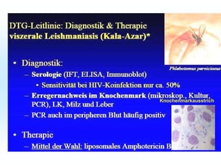 Knochenmarkausstrich
 