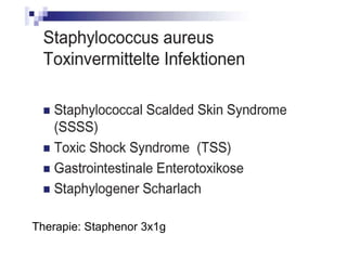Therapie: Staphenor 3x1g
 