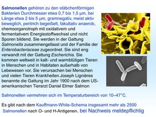 Salmonellen gehören zu den stäbchenförmigen
Bakterien Durchmesser etwa 0,7 bis 1,5 µm, bei
Länge etwa 2 bis 5 µm, gramnegativ, meist aktiv
beweglich, peritrich begeißelt, fakultativ anaerob,
chemoorganotroph mit oxidativem und
fermentativem Energiestoffwechsel und nicht
Sporen bildend. Sie werden in der Gattung
Salmonella zusammengefasst und der Familie der
Enterobacteriaceae zugeordnet. Sie sind eng
verwandt mit der Gattung Escherichia. Sie
kommen weltweit in kalt- und warmblütigen Tieren
in Menschen und in Habitaten außerhalb von
Lebewesen vor. Sie verursachen bei Menschen
und vielen Tieren Krankheiten.Joseph Lignières
benannte die Gattung im Jahr 1900 nach dem US-
amerikanischen Tierarzt Daniel Elmer Salmon
Es gibt nach dem Kauffmann-White-Schema insgesamt mehr als 2500
Salmonellen nach O- und H-Antigenen. bei Nachweis meldepflichtig
Salmonellen vermehren sich im Temperaturbereich von 10–47°C.
 