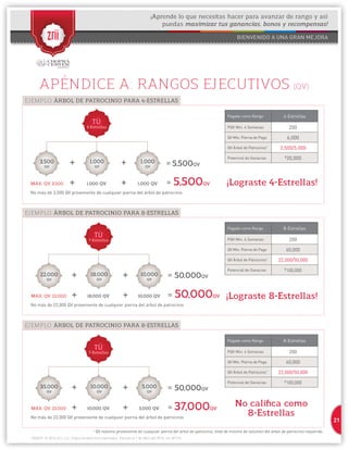 21 
1304037 © 2014 Zrii, LLC. Todos los derechos reservados. Efectivo el 1 de Abril del 2013; rev. 8/1/14 
† QV máximo proveniente de cualquier pierna del árbol de patrocinio, total de minimo de volumen del árbol de patrocinio requerido. 
¡Aprende lo que necesitas hacer para avanzar de rango y así 
puedas maximizar tus ganancias, bonos y recompensas! 
EJEMPLO: ÁRBOL DE PATROCINIO PARA 4-ESTRELLAS 
EJEMPLO: ÁRBOL DE PATROCINIO PARA 8-ESTRELLAS 
EJEMPLO: ÁRBOL DE PATROCINIO PARA 8-ESTRELLAS 
TÚ 
3-Estrellas 
3,500 
QV = 5,500QV 
= 5,500QV 
1,000 
QV 
APÉNDICE A: RANGOS EJECUTIVOS (QV) 
1,000 
QV + 
+ 
+ 
+ 
Pagado como Rango 4-Estrellas 
PQV Min. 4 Semanas 200 
QV Min. Pierna de Pago 6,000 
QV Árbol de Patrocinio† 3,500/5,000 
Potencial de Ganacias $20,000 
Pagado como Rango 8-Estrellas 
PQV Min. 4 Semanas 200 
QV Min. Pierna de Pago 60,000 
QV Árbol de Patrocinio† 22,000/50,000 
Potencial de Ganacias $100,000 
Pagado como Rango 8-Estrellas 
PQV Min. 4 Semanas 200 
QV Min. Pierna de Pago 60,000 
QV Árbol de Patrocinio† 22,000/50,000 
Potencial de Ganacias $100,000 
MAX. QV 3,500 1,000 QV 1,000 QV 
No más de 3,500 QV proveniente de cualquier pierna del árbol de patrocinio 
TÚ 
7-Estrellas 
22,000 
QV = 50,000QV 
= 50,000QV 
18,000 
QV 
10,000 
QV + 
+ 
+ 
MAX. QV 22,000 18,000 QV + 10,000 QV 
No más de 22,000 QV proveniente de cualquier pierna del árbol de patrocinio 
TÚ 
7-Estrellas 
35,000 
QV = 50,000QV 
= 37,000QV 
10,000 
QV 
5,000 
QV + 
+ 
+ 
MAX. QV 22,000 10,000 QV + 5,000 QV 
No más de 22,000 QV proveniente de cualquier pierna del árbol de patrocinio 
¡Lograste 4-Estrellas! 
¡Lograste 8-Estrellas! 
No califica como 
8-Estrellas 
 