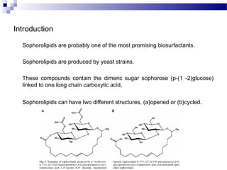Introduction

  Sophorolipids are probably one of the most promising biosurfactants.

  Sophorolipids are produced by yeas...