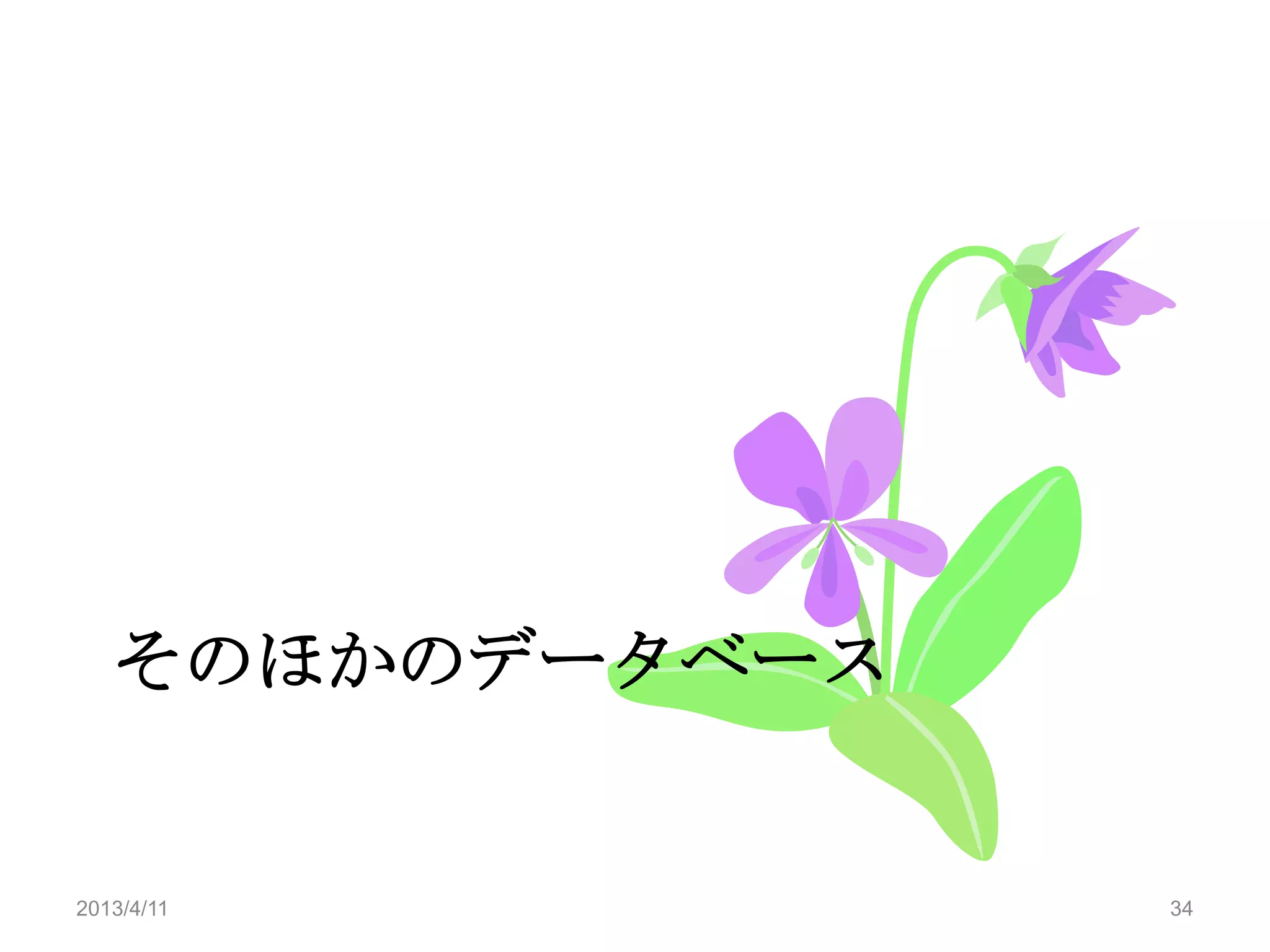 そのほかのデータベース


2013/4/11        34
 