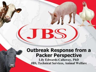 Outbreak Response from a
Packer Perspective
Lily Edwards-Callaway, PhD
JBS, Technical Services, Animal Welfare
 