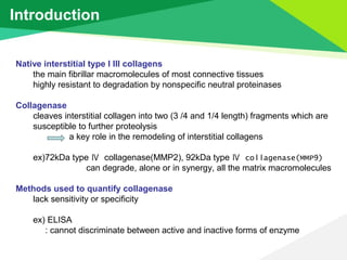 Introduction


Native interstitial type I III collagens
    the main fibrillar macromolecules of most connective tissues
 ...