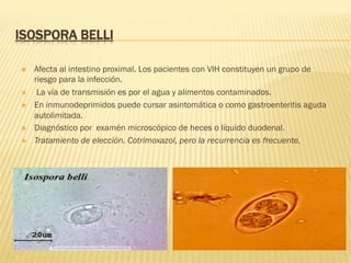 ISOSPORA BELLI
Ò  Afecta al intestino proximal. Los pacientes con VIH constituyen un grupo de
riesgo para la infección.
Ò  La vía de transmisión es por el agua y alimentos contaminados.
Ò  En inmunodeprimidos puede cursar asintomática o como gastroenteritis aguda
autolimitada.
Ò  Diagnóstico por examén microscópico de heces o líquido duodenal.
Ò  Tratamiento de elección. Cotrimoxazol, pero la recurrencia es frecuente.
 
