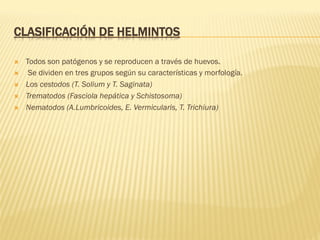 CLASIFICACIÓN DE HELMINTOS
Ò  Todos son patógenos y se reproducen a través de huevos.
Ò  Se dividen en tres grupos según su características y morfología.
Ò  Los cestodos (T. Solium y T. Saginata)
Ò  Trematodos (Fasciola hepática y Schistosoma)
Ò  Nematodos (A.Lumbricoides, E. Vermicularis, T. Trichiura)
 