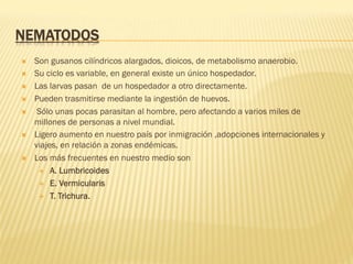 NEMATODOS
Ò  Son gusanos cilíndricos alargados, dioicos, de metabolismo anaerobio.
Ò  Su ciclo es variable, en general existe un único hospedador.
Ò  Las larvas pasan de un hospedador a otro directamente.
Ò  Pueden trasmitirse mediante la ingestión de huevos.
Ò  Sólo unas pocas parasitan al hombre, pero afectando a varios miles de
millones de personas a nivel mundial.
Ò  Ligero aumento en nuestro país por inmigración ,adopciones internacionales y
viajes, en relación a zonas endémicas.
Ò  Los más frecuentes en nuestro medio son
É  A. Lumbricoides
É  E. Vermicularis
É  T. Trichura.
 
