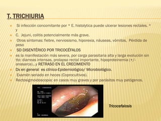 T. TRICHIURIA
Ò  Si infección concomitante por * E. histolytica puede ulcerar lesiones rectales. *
y
Ò  C. Jejuni, colitis potencialmente más grave.
Ò  Otros síntomas: fiebre, nerviosismo, hiporexia, náuseas, vómitos, Pérdida de
peso
Ò  SD DISENTÉRICO POR TRICOCÉFALOS
Ò  es la manifestación más severa, por carga parasitaria alta y larga evolución sin
tto: diarreas intensas, prolapso rectal importante, hipoproteinemia (+/-
anasarca)...y RETRASO EN EL CRECIMIENTO
Ò  Dx en general es clínico-Epidemiológico/ Microbiológico.
Ò  Examén seriado en heces (Coprocultivos).
Ò  Rectosigmoidoscopia: en casos muy graves y por parásitos muy patógenos.
Tricocefalosis
 