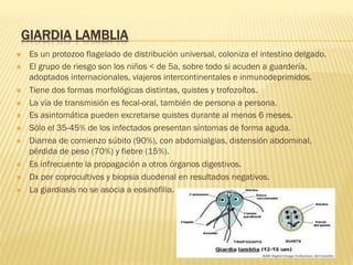 GIARDIA LAMBLIA
Ò  Es un protozoo flagelado de distribución universal, coloniza el intestino delgado.
Ò  El grupo de riesgo son los niños < de 5a, sobre todo si acuden a guardería,
adoptados internacionales, viajeros intercontinentales e inmunodeprimidos.
Ò  Tiene dos formas morfológicas distintas, quistes y trofozoítos.
Ò  La vía de transmisión es fecal-oral, también de persona a persona.
Ò  Es asintomática pueden excretarse quistes durante al menos 6 meses.
Ò  Sólo el 35-45% de los infectados presentan síntomas de forma aguda.
Ò  Diarrea de comienzo súbito (90%), con abdomialgias, distensión abdominal,
pérdida de peso (70%) y fiebre (15%).
Ò  Es infrecuente la propagación a otros órganos digestivos.
Ò  Dx por coprocultivos y biopsia duodenal en resultados negativos.
Ò  La giardiasis no se asocia a eosinofilia.
 