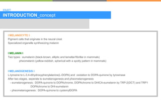 INTRODUCTION_concept
l MELANOCYTE l
Pigment cells that originate in the neural crest
Specialized organelle synthesizing me...