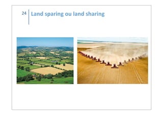 Land	
  sparing	
  ou	
  land	
  sharing24
 