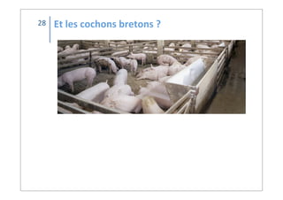 Et	
  les	
  cochons	
  bretons	
  ?28
 