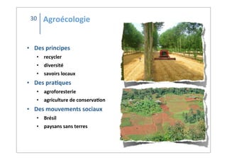 30
• Des	
  principes
• recycler
• diversité
• savoirs	
  locaux
• Des	
  pra2ques
• agroforesterie
• agriculture	
  de	
  conserva2on
• Des	
  mouvements	
  sociaux
• Brésil
• paysans	
  sans	
  terres
Agroécologie
 
