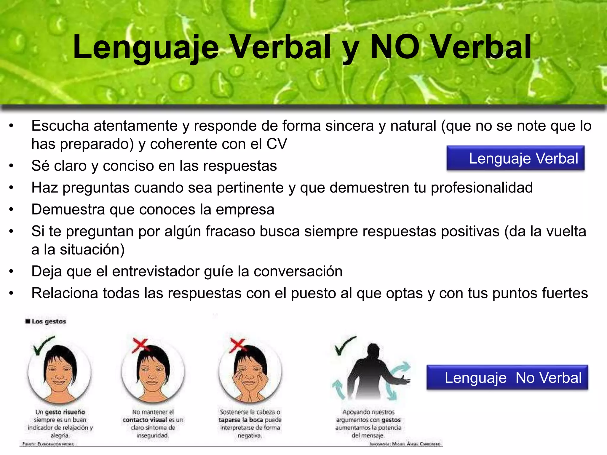 Lenguaje Verbal y NO Verbal 
• Escucha atentamente y responde de forma sincera y natural (que no se note que lo 
has preparado) y coherente con el CV 
Lenguaje Verbal 
• Sé claro y conciso en las respuestas 
• Haz preguntas cuando sea pertinente y que demuestren tu profesionalidad 
• Demuestra que conoces la empresa 
• Si te preguntan por algún fracaso busca siempre respuestas positivas (da la vuelta 
a la situación) 
• Deja que el entrevistador guíe la conversación 
• Relaciona todas las respuestas con el puesto al que optas y con tus puntos fuertes 
Lenguaje No Verbal 
 