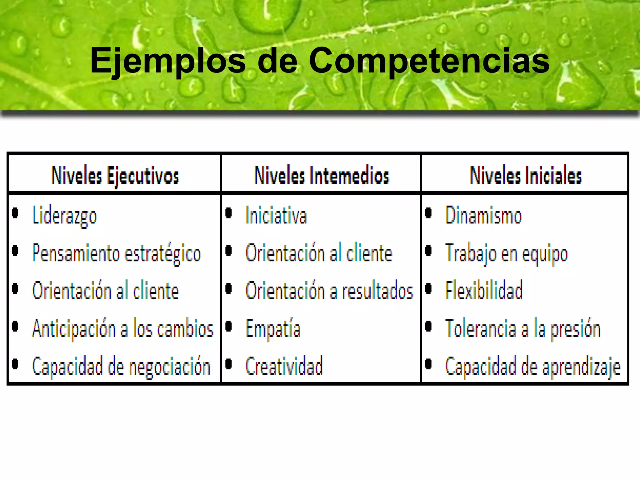 Ejemplos de Competencias 
 