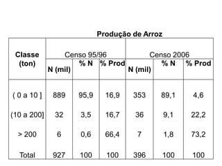 Produção de Arroz
Classe
(ton)
Censo 95/96 Censo 2006
N (mil)
% N % Prod
N (mil)
% N % Prod
( 0 a 10 ] 889 95,9 16,9 353 89,1 4,6
(10 a 200] 32 3,5 16,7 36 9,1 22,2
> 200 6 0,6 66,4 7 1,8 73,2
Total 927 100 100 396 100 100
 