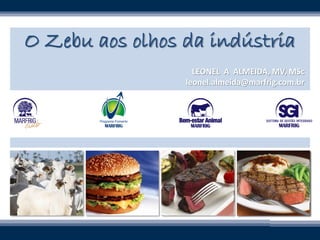 O Zebu aos olhos da indústria
LEONEL A ALMEIDA, MV, MSc
leonel.almeida@marfrig.com.br
 
