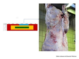 Slide cortesia de Eduardo Pedroso
 