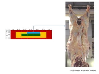 Slide cortesia de Eduardo Pedroso
 