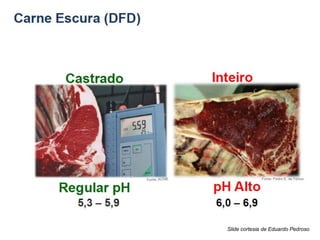 Slide cortesia de Eduardo Pedroso
 